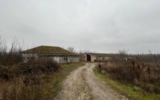 Vânzare, spațiu comercial, satul Zgurița, Drochia - Poză 7