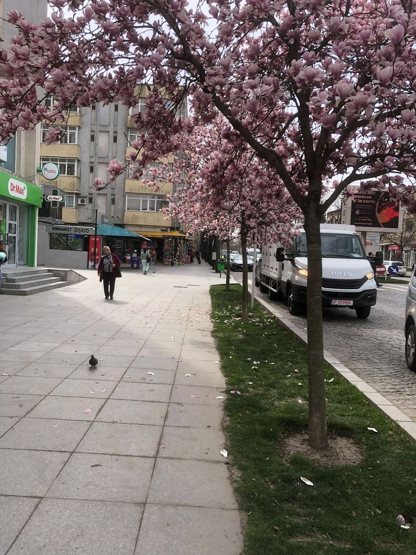 Apartament cu 3 camere, etaj 4, mobilat, VASLUI zona CENTRU - BIG; - Poză 3