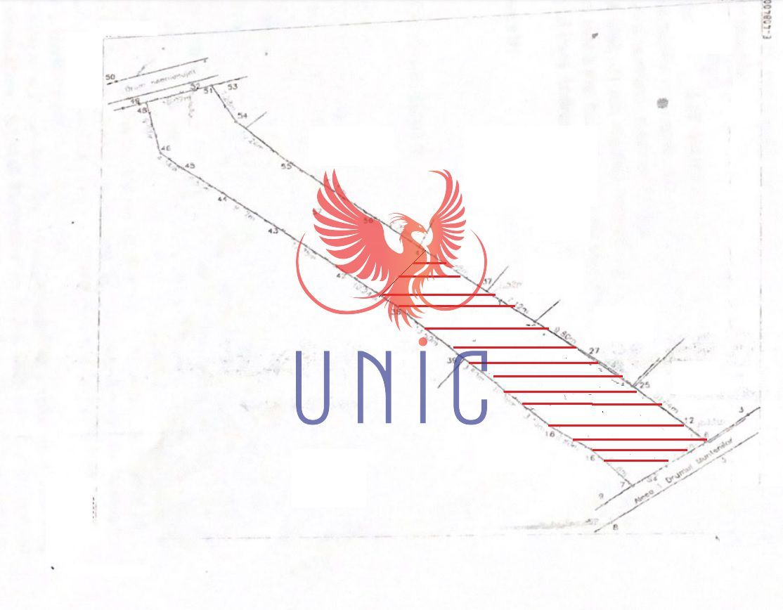 Oportunitate  teren intravilan, zona Sydney - Poză 4