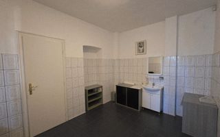 Apartament 4camere 167mp PARTER / Vasile Milea - Poză 10