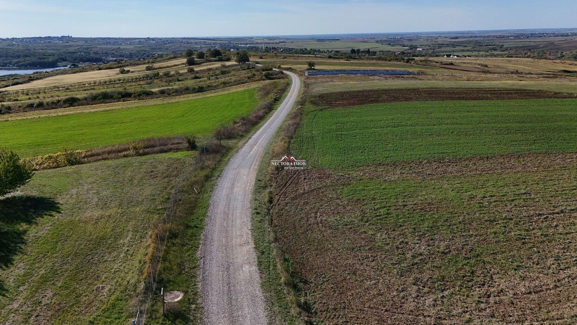 NECTORA IMOB-Teren Saldabagiu de Munte, aproape de Lac Paleu, 2880mp - Poză 7