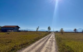 Teren intravilan, PUZ aprobat, 800 mp, Fish4Life - Harman, Brasov - Poză 5