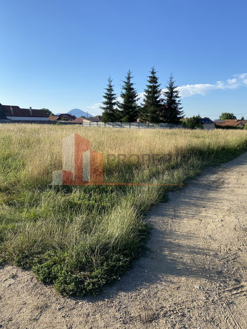 Teren 14400 mp la iesire din Rasnov inspre Pârâul Rece-Trei Brazi - Poză 12