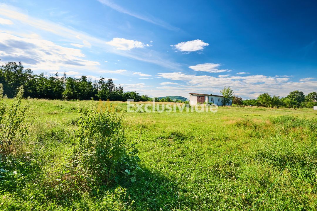 Teren Intravilan 1100 mp + Anexă 120 mp - Budeasa, Calotesti! - Poză 9