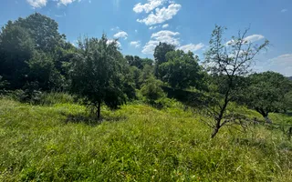 TEREN INTRAVILAN 2146 MP, ALBESTII DE MUSCEL, ARGES - Poză 12