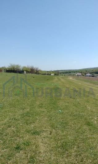 Teren extravilan 7.200 mp, Bordea - Grajduri, oportunitate investiție - Poză 3