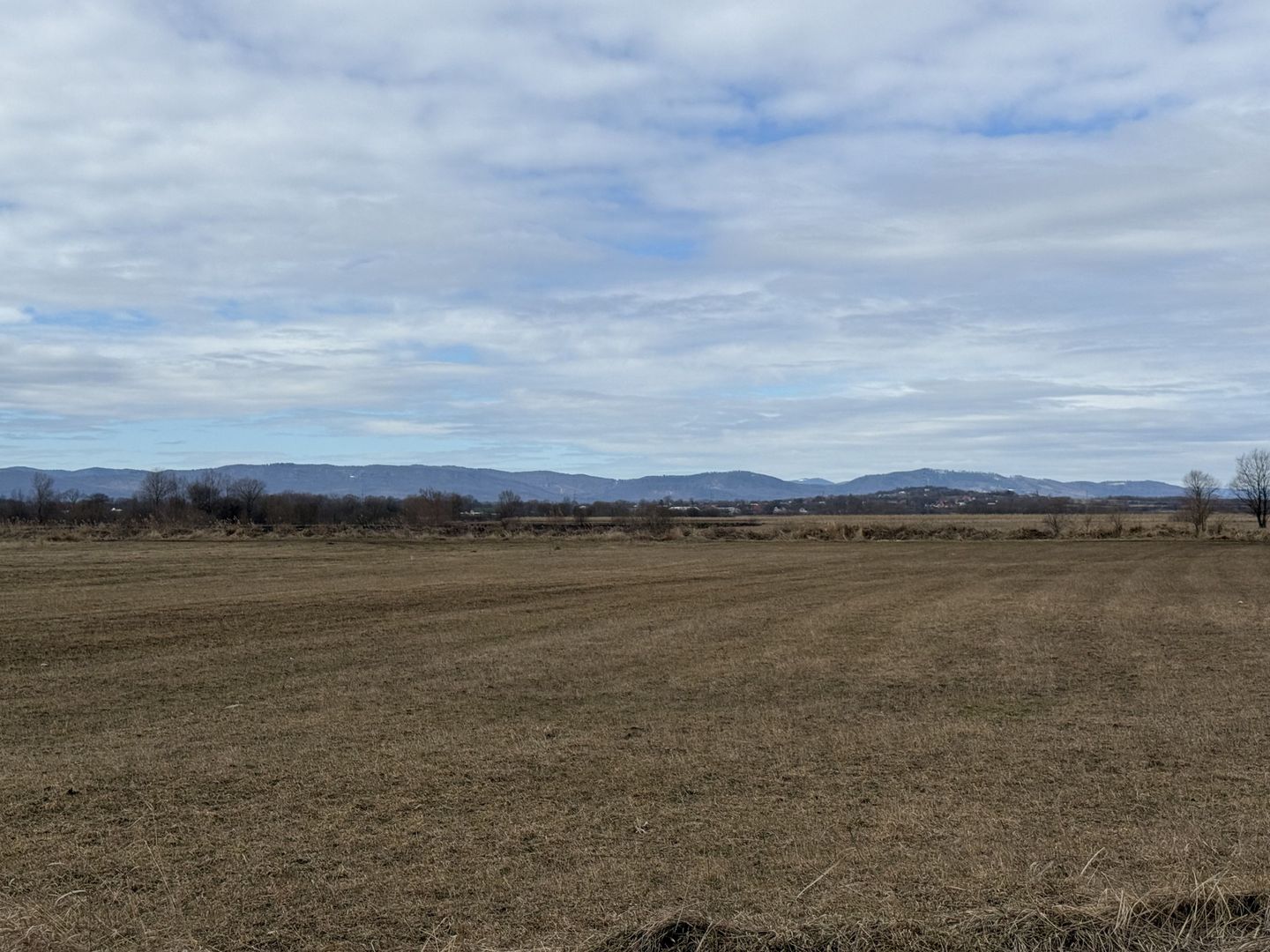 Teren extravilan | Rădăuți – zona Jalcău | 3.900 mp | 41 m front - Poză 2