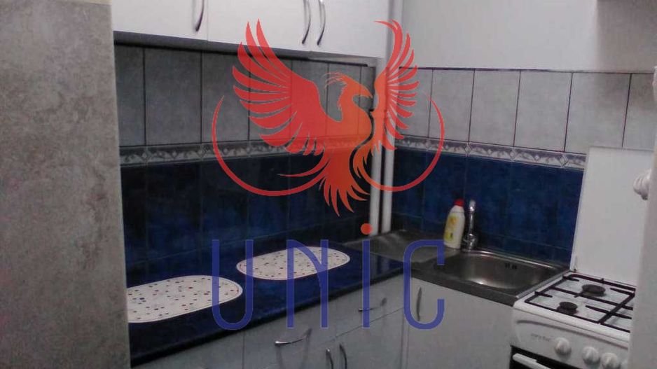 Garsoniera Brazda lui Novac, parter - 65 000 Euro - Poză 4