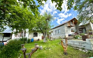 2 Case + teren 1390 mp langa parcul central Provita de Sus - Poză 3