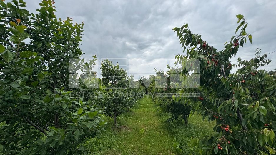 CASA DE VANZARE | INCHIRIERE | DUMBRAVENI | SUCEAVA - Poză 28