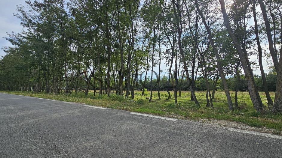 Teren intravilan construibil peisaj de vis - Poză 1