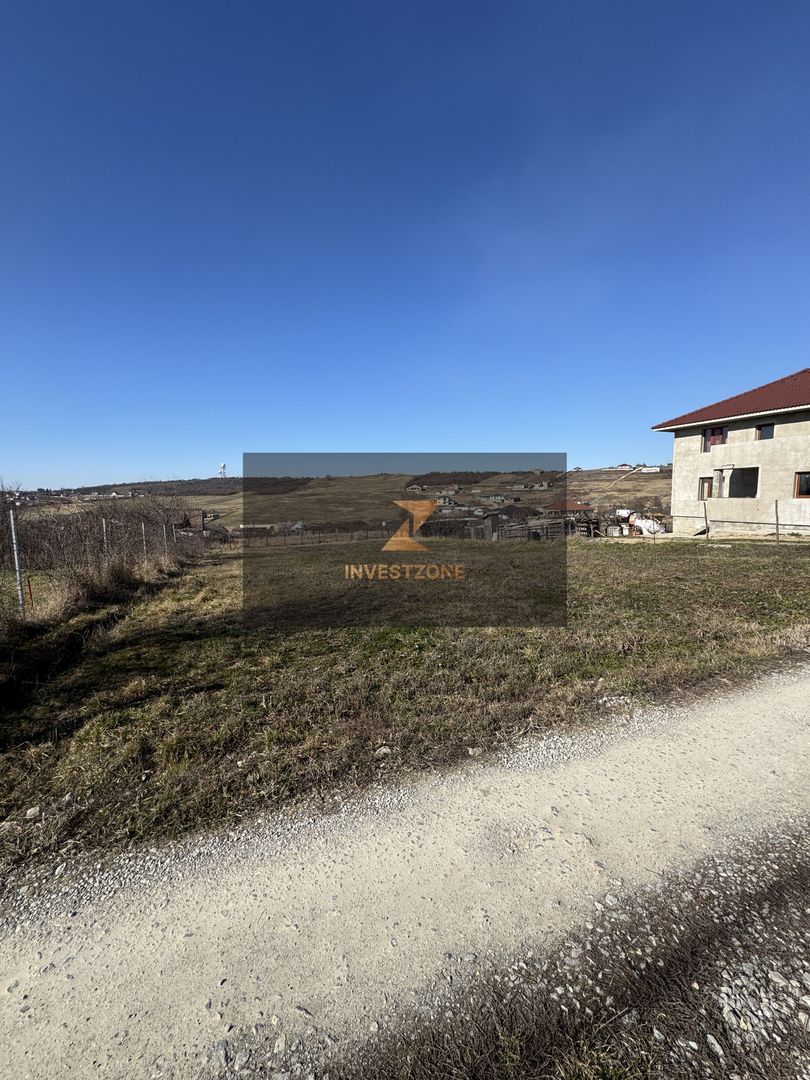 Teren intravilan Săldăbagiu De Munte - Poză 1