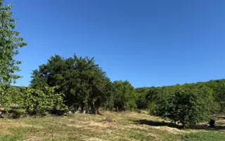 Casă de vânzare, 186 mp - Cuzdrioara ( Dej) - Poză 16