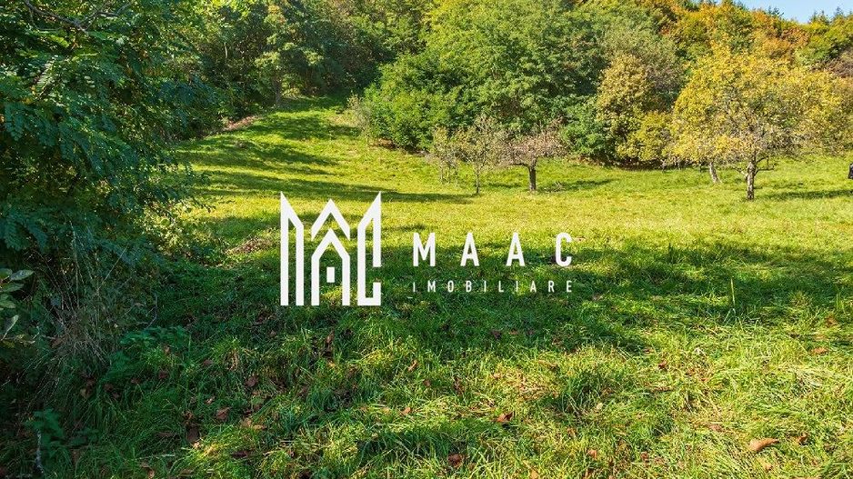 Teren | Intravilan | 2439 MPU | Fântânele - Poză 4