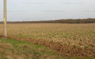 Vanzare Teren - intravilan - Snagov - Poză 3