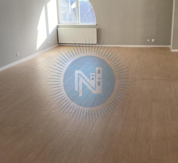 Vila Iancu Nicolae - Poză 10