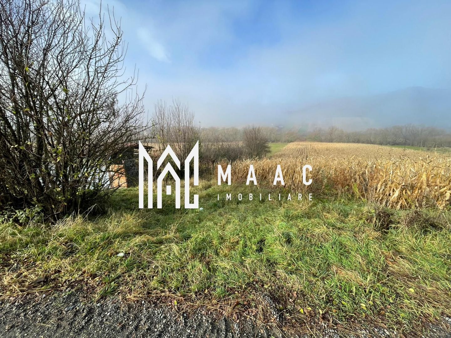 Teren 2.500 mp I Gușterița I PUZ I Aprobat I Ideal Dezvoltare - Poză 2