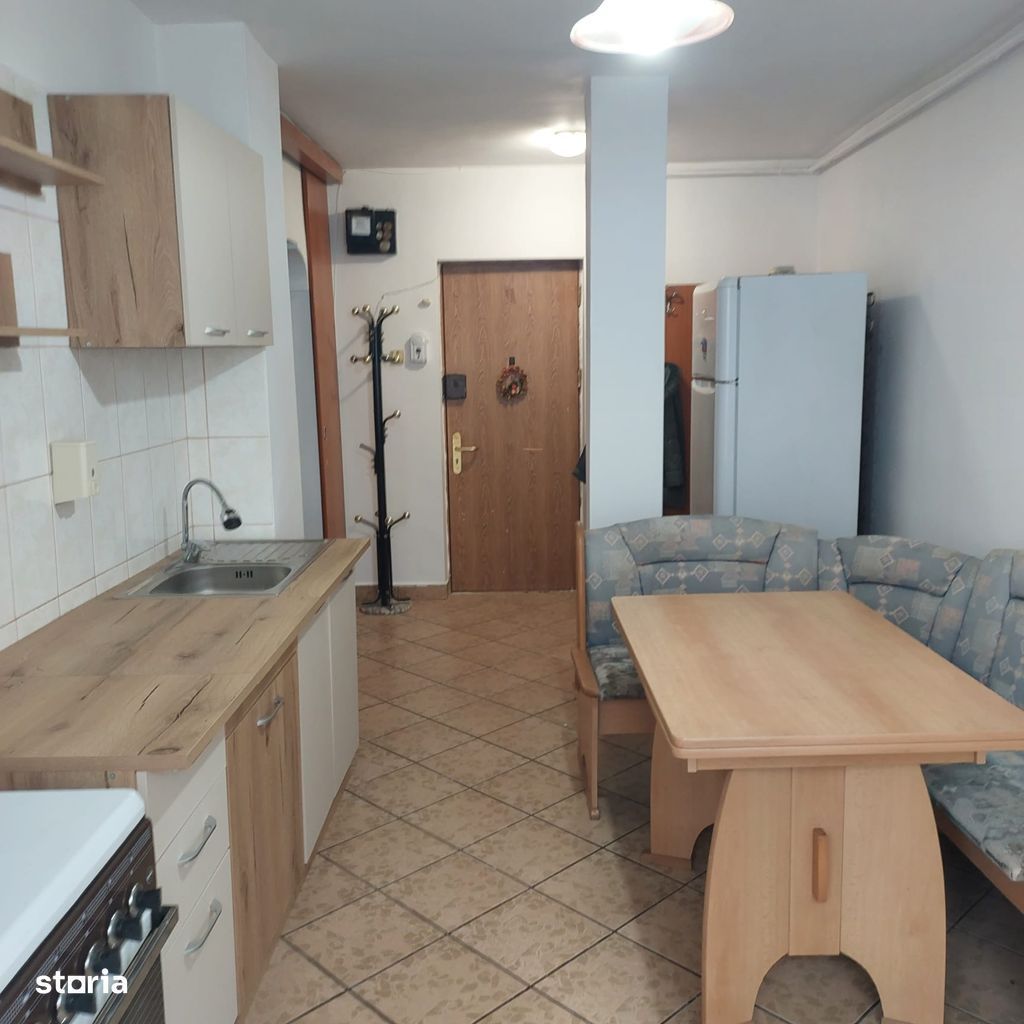 Apartament 2 camere Pet Friendly, complet mobilat si utilat, Lujerului - Poză 6