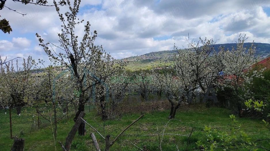 Teren intravilan de vanzare, comuna Barnova, judetul Iasi, 1150 mp, utilitati, destinatie constructie - Poză 1