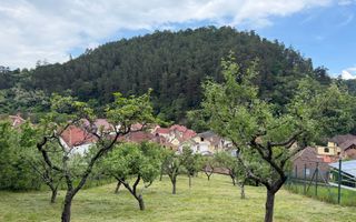 Casă rustică de vânzare în Tilișca, (Marginimea Sibiului) - Poză 8