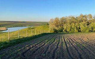 Intravilan preț mic - Poză 5