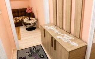 Apartament cochet-Restaurant Dacia-Valea Rosie - Poză 4