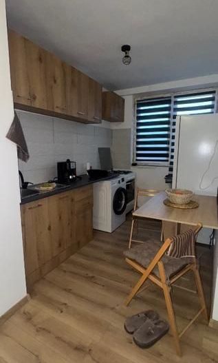 Apartament 2 camere de închiriat Tineretului Pet-friendly - Poză 3