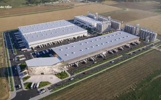 Teren Agricol 5.24 HA com. Cruzești mun. Chișinău - Poză 1