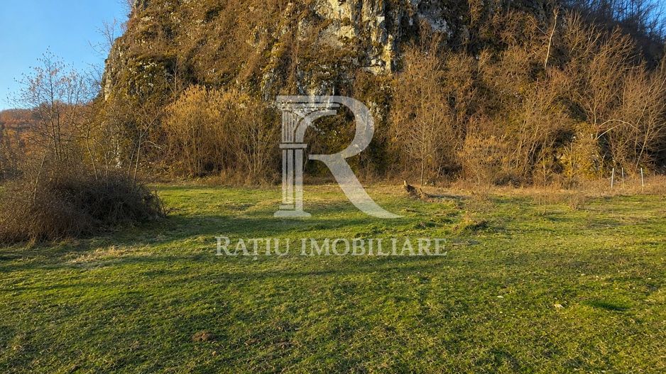Teren intravilan | Loc de cabana |  Balnaca | Bihor - Poză 2