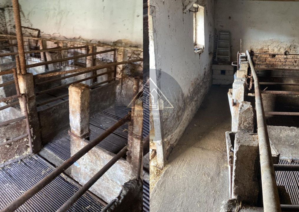 Fermă de vanzare - Poză 9