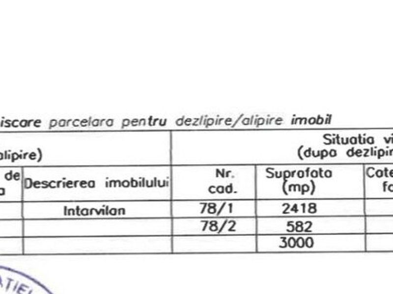Teren Tancabesti intravilan iesire la lac Snagov - Poză 3
