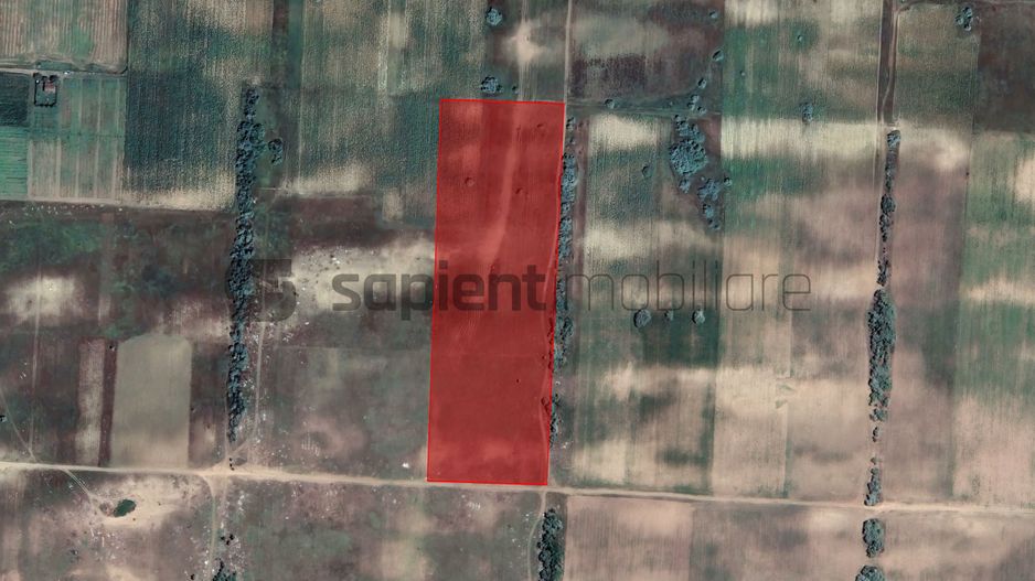 Sapient | Teren agricol _ loc. Desa, jud. Dolj - Poză 3