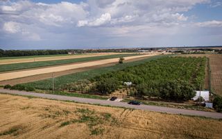 Livadă de nuci altoită și ecologică 2.5ha - Poză 2