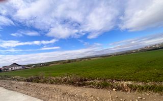 Teren de Vanzare 85 Ari I Suceava/Sf.Ecaterina I 354.000Euro - Poză 4