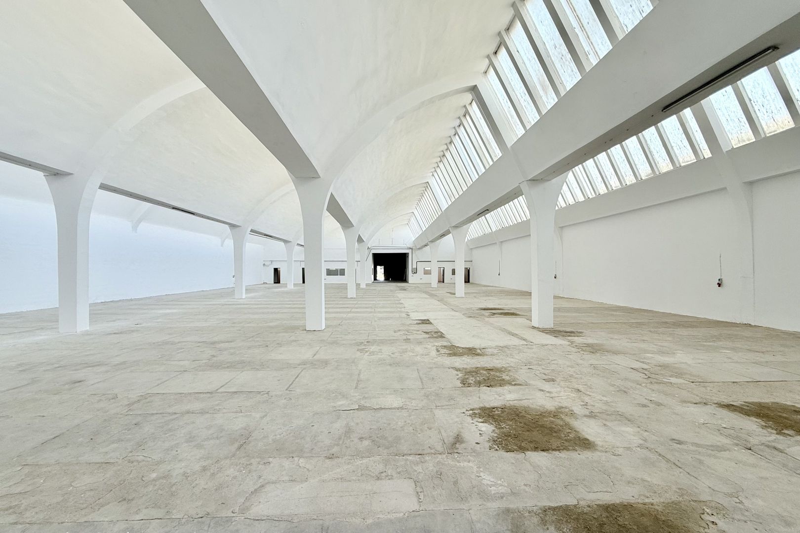 Hală industrială de producție/depozitare – Jilava, Str. Gării, 1797 mp - Poză 4