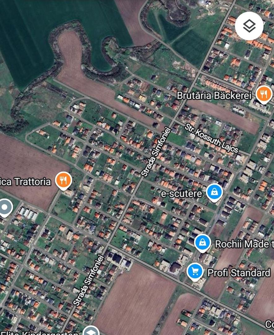 Teren 10150mp in Dumbravita - Poză 2