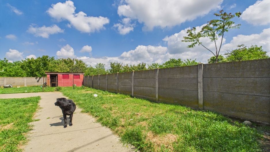 Casă individuală în Pădureni - Poză 3