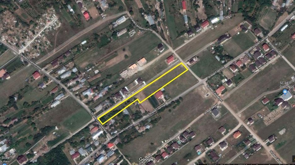 teren Domnesti - Poză 2