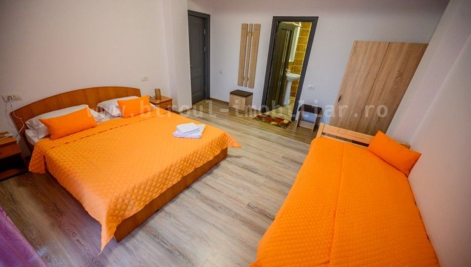 Vilă Turistică Superbă în Costinești, la doar 500m de plajă! - Poză 6