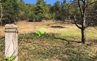 Casa de vanzare | teren intravilan| Troianu| 2166mp - Poză 4