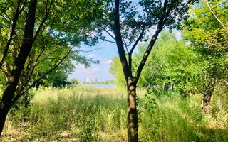 2066 mp teren deschidere lacul Grivita 24m zona deosebita in Damaroaia - Poză 5