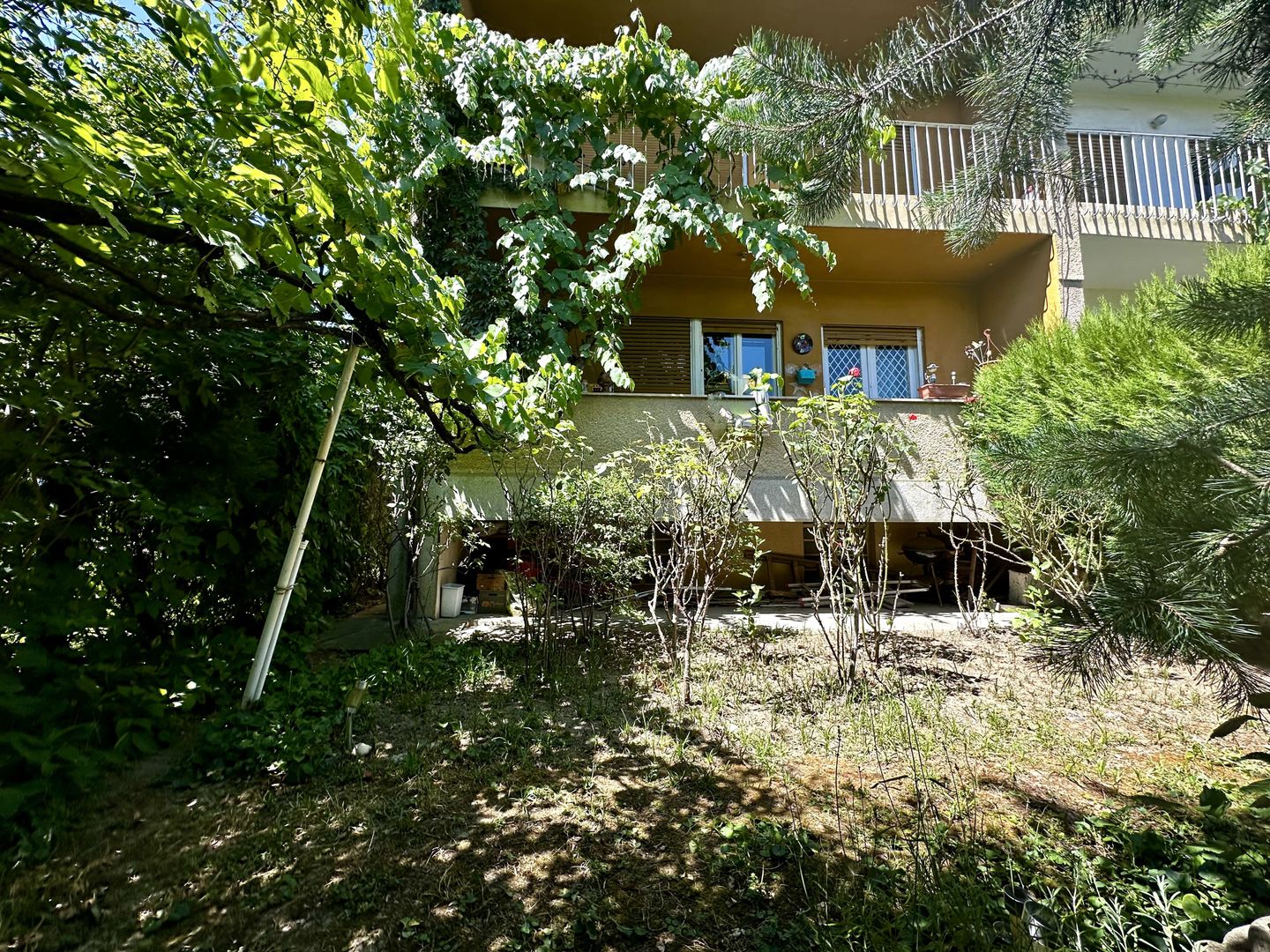 Duplex cu potențial real în Elisabetin – investiția care contează - Poză 10