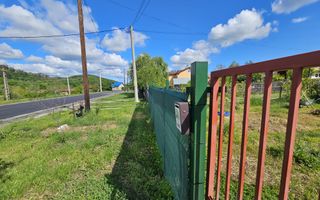 Proprietate deosebită de vânzare – Drăganu, Argeș - Poză 11