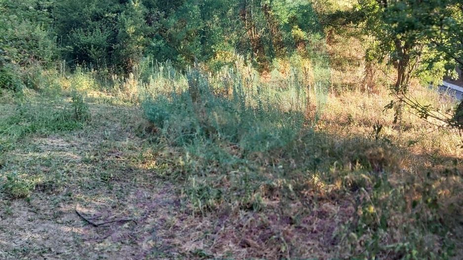 TEREN 1690 MP - ORAS STREHAIA - Poză 7