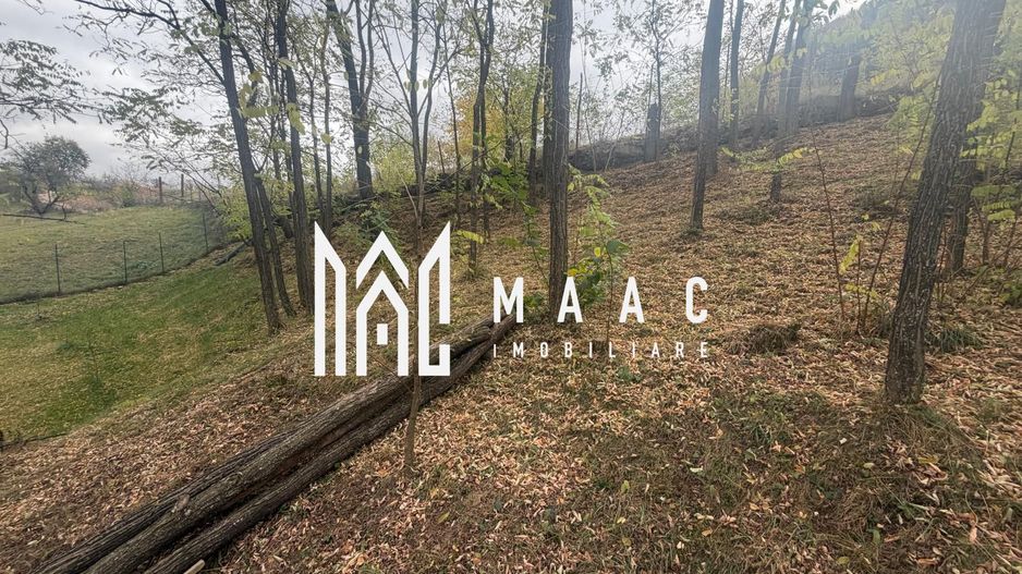 Teren intravilan de vânzare | Râu Sadului | PUZ aprobat - Poză 28