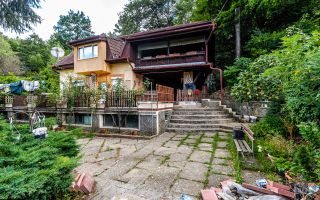 PROPRIETATE VÂNDUTĂ Casă conac cu 15.000 mp deal împădurit la Barațca, - Poză 3