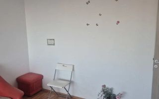 APARTAMENT METROU ZONA TINERETULUI - Poză 2