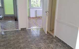 Spatiu comercial util compartimentat I Lipovei - Poză 1