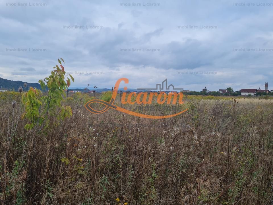 De vanzare teren  502 mp Harman Aleea 14 pret 40000 euro - Poză 3