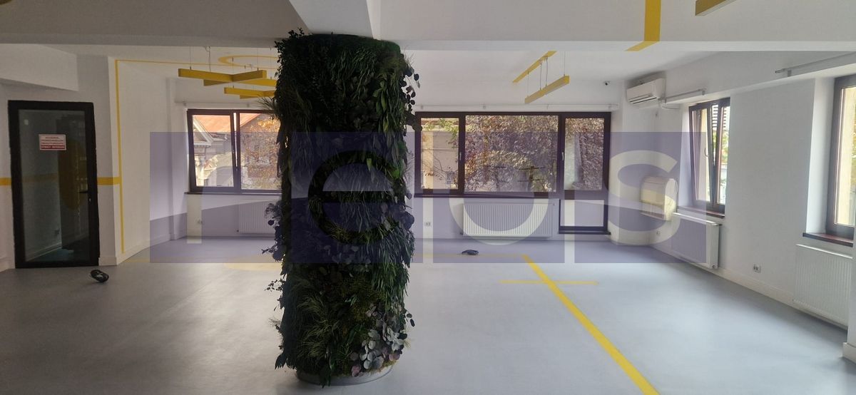 INCHIRIERE VILA P+2 | ZONA UNIRII- Natiunile Unite - Poză 12